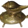 Brass Shankh With Tortoise | Konch 7 Inch